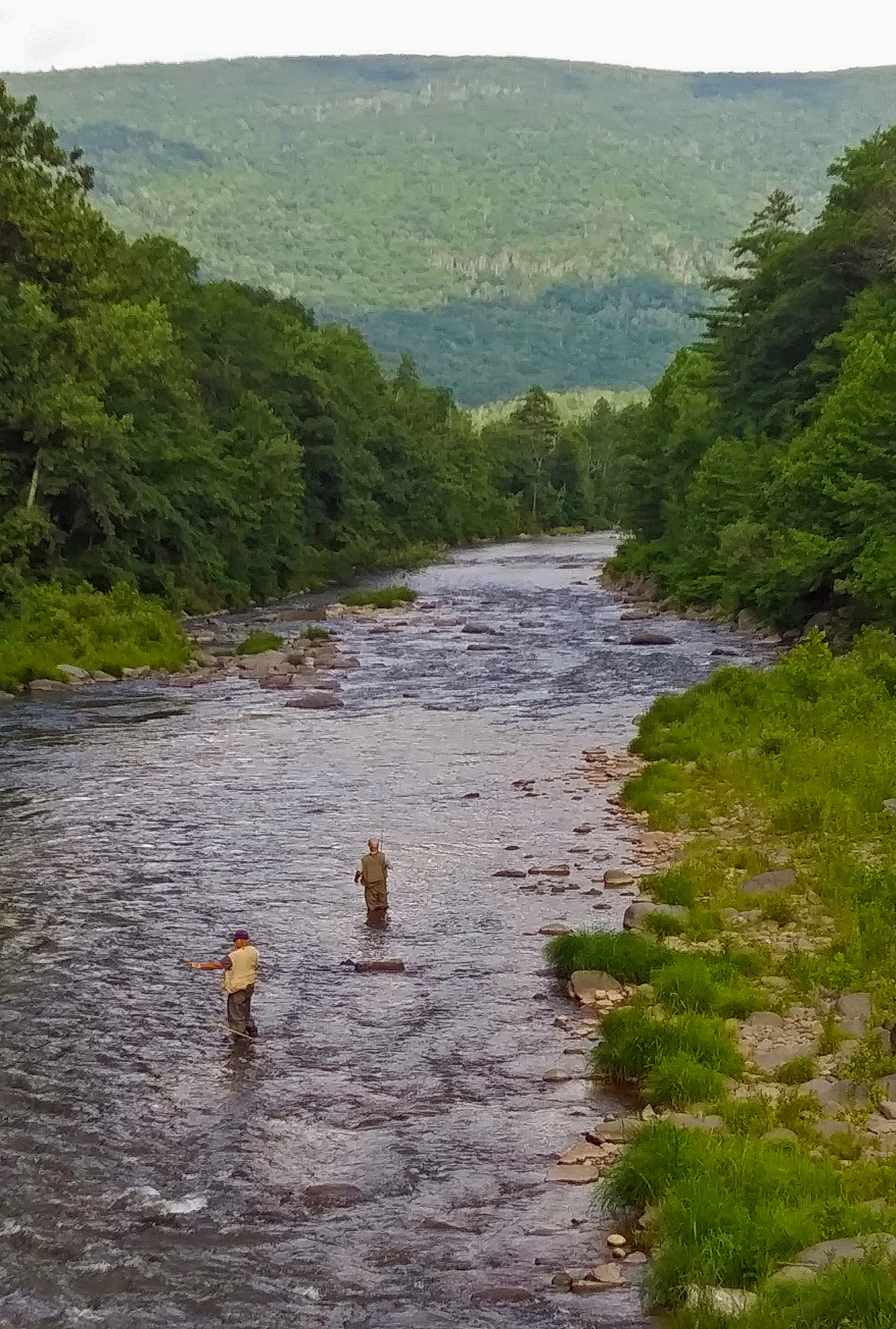 Woodland Valley