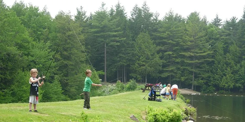 Mohawk Trail State Forest