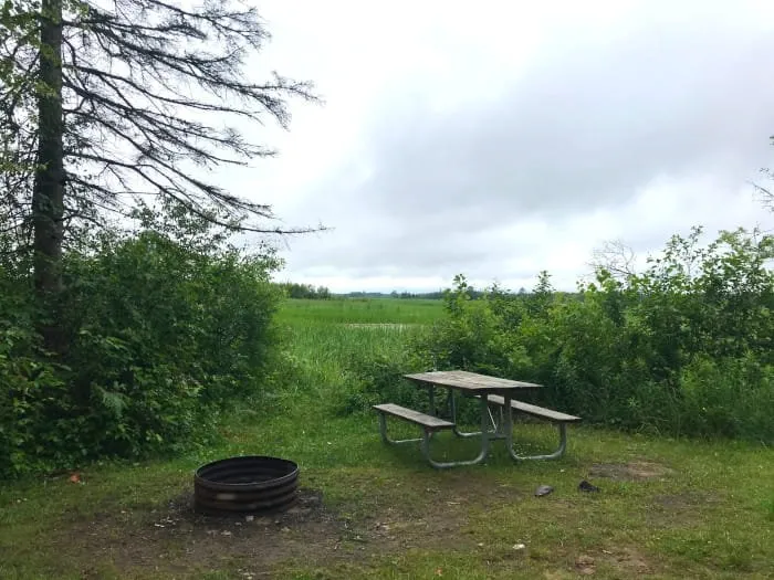 Natalie State Forest Campground