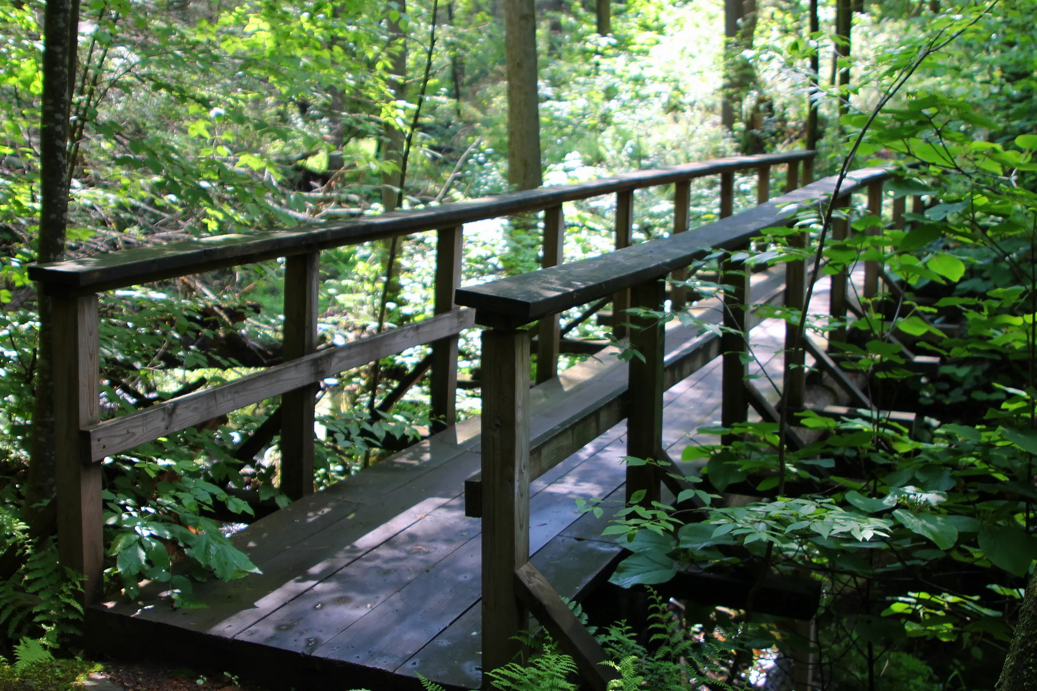 Ricketts Glen State Park