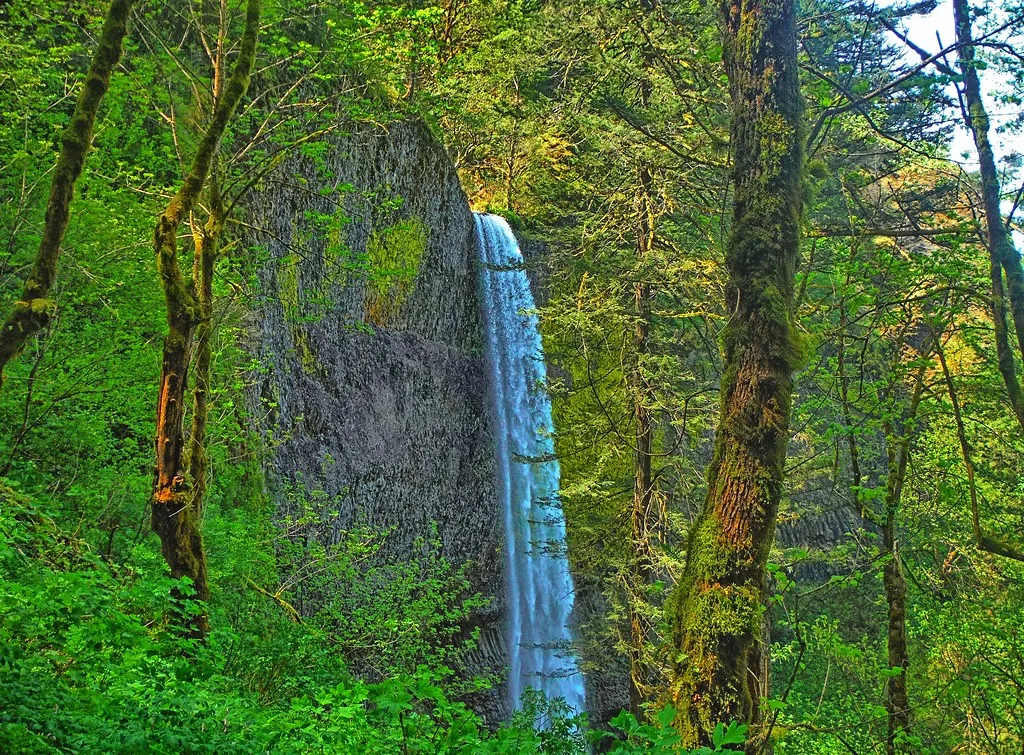 Guy  W. Talbot State Park
