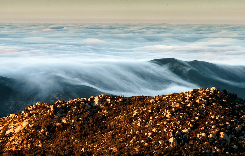Palomar Mountain State Park Campground