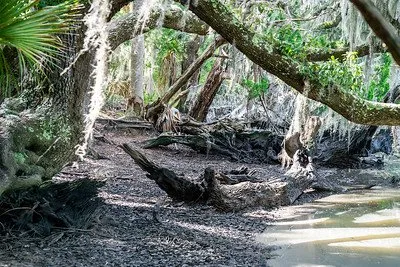Skidaway Island State Park