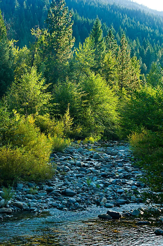 Riverside Campground