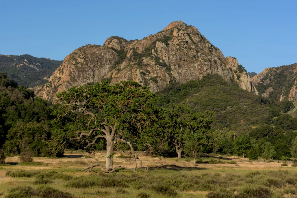 Malibu Creek State Park Campground
