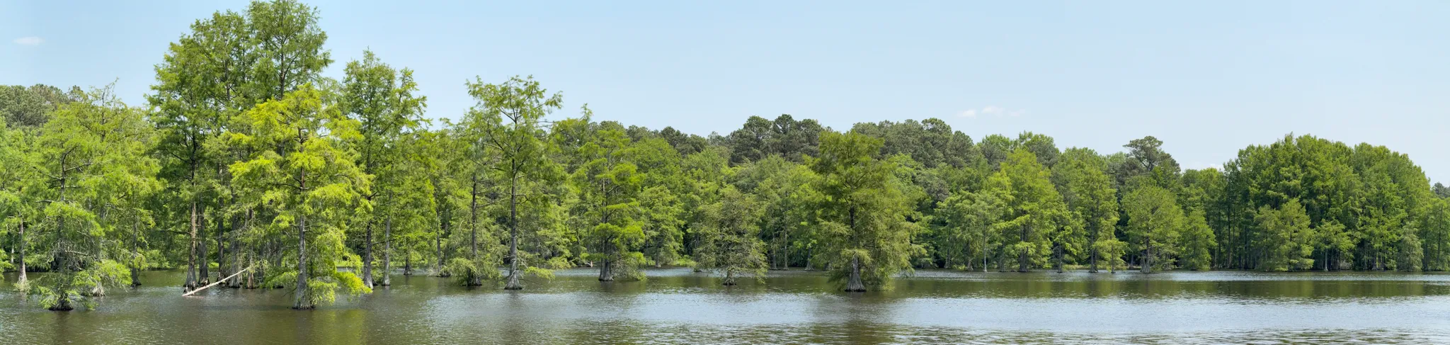 Trap Pond State Park