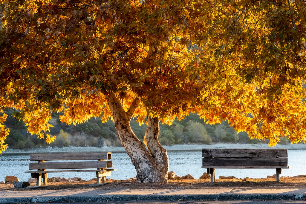 Old Mesa Campground
