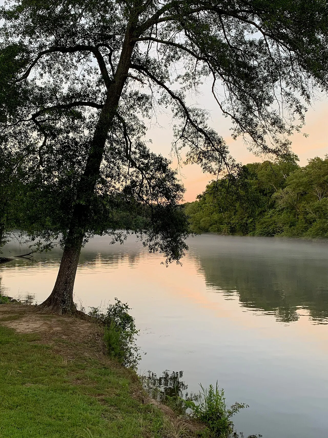 Lake Catherine Campground