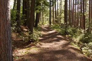 Bear Head Lake Campground