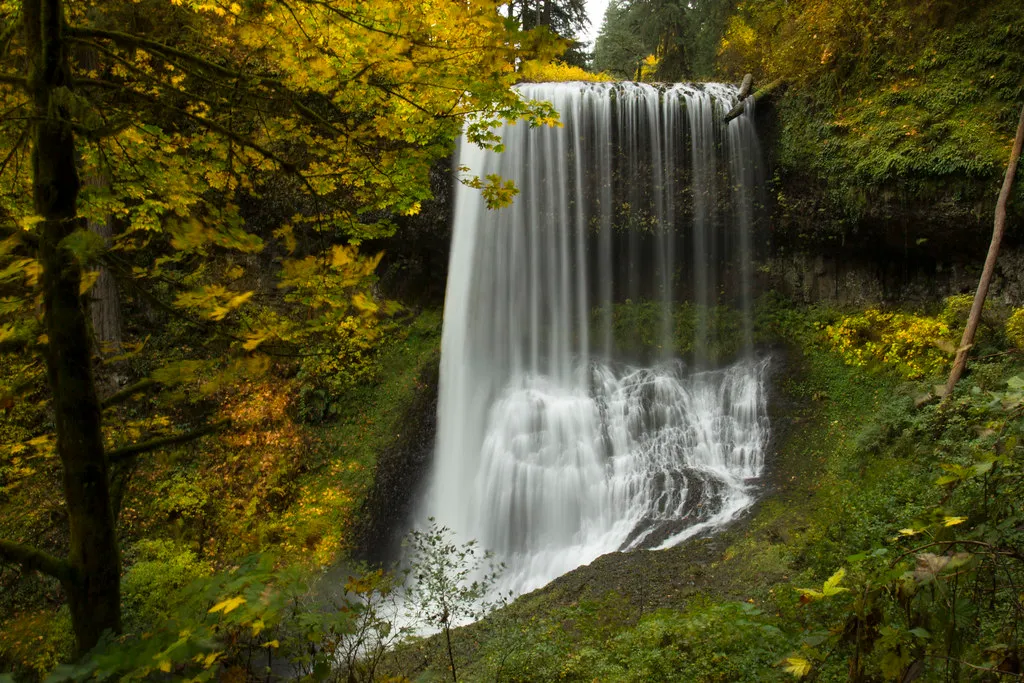 Silver Falls State Park