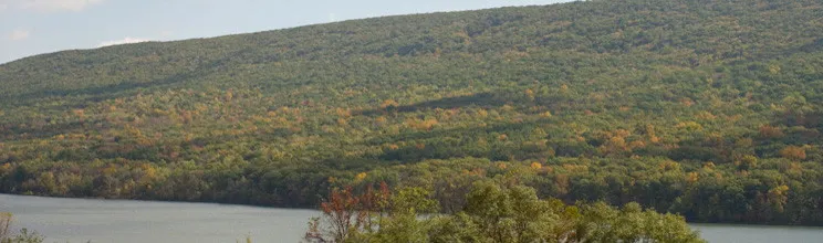 The Nature Inn At Bald Eagle