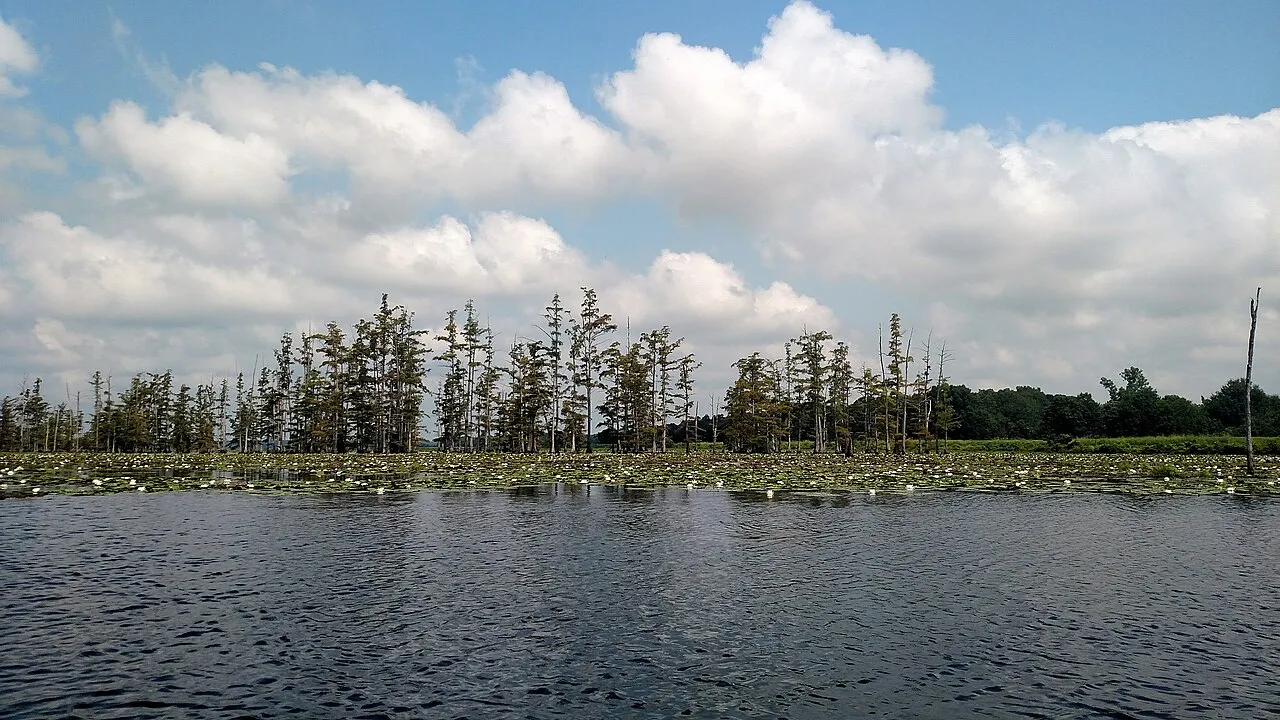 Cane Creek Campground