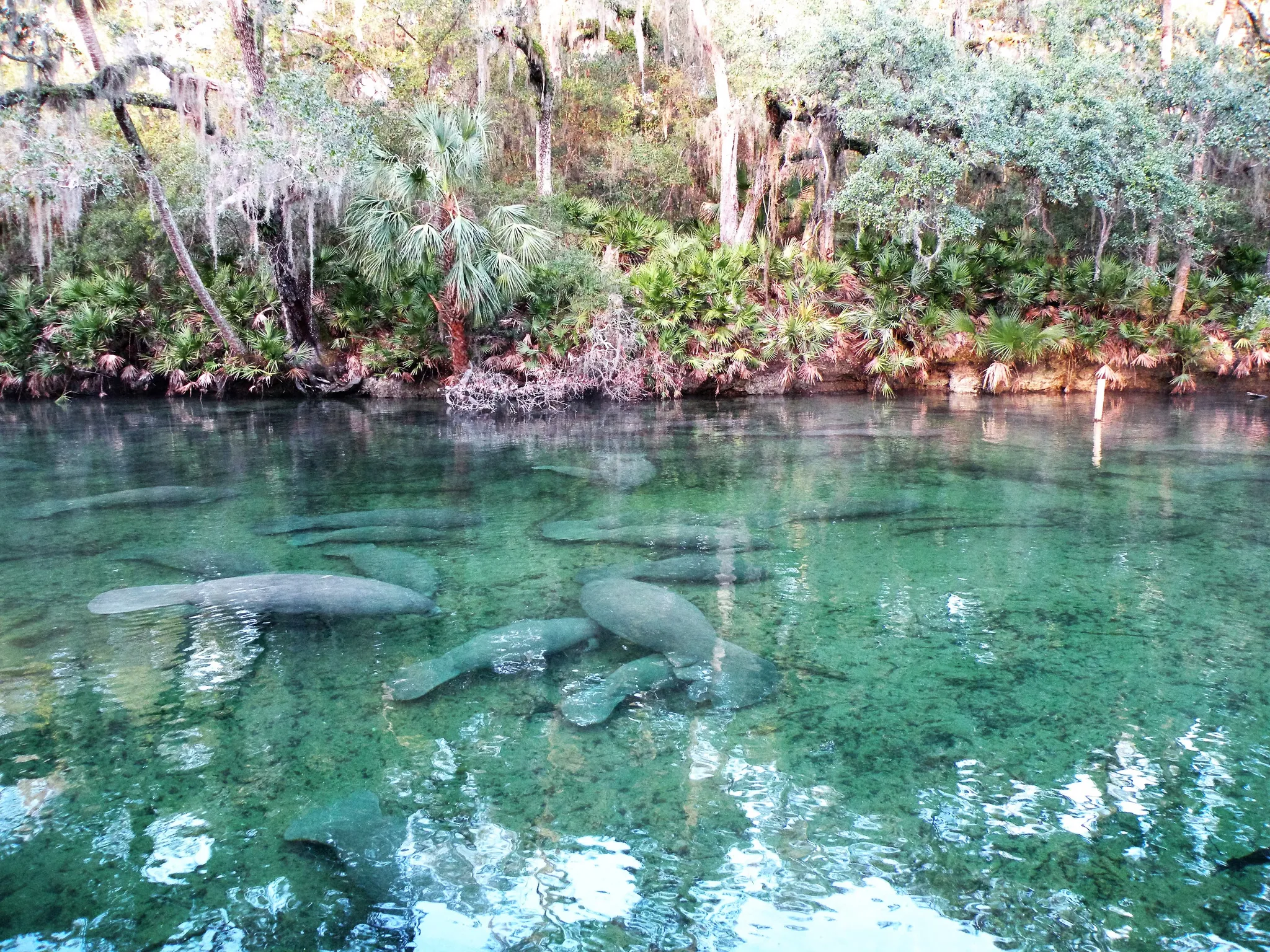 Blue Spring State Park Campground