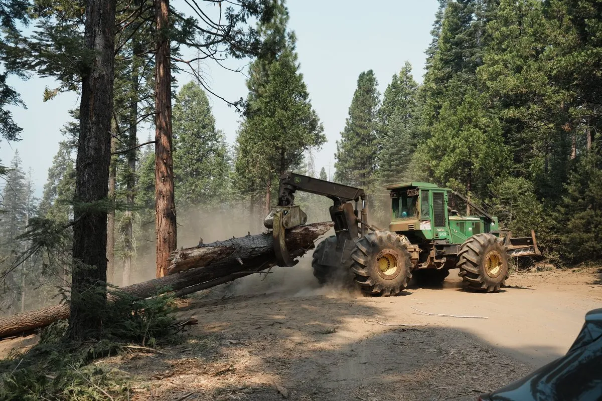 Whisky Falls Campground
