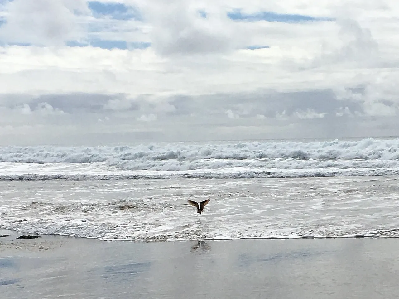 Jalama Beach