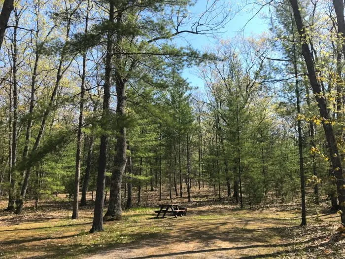Black Lake Trail Camp