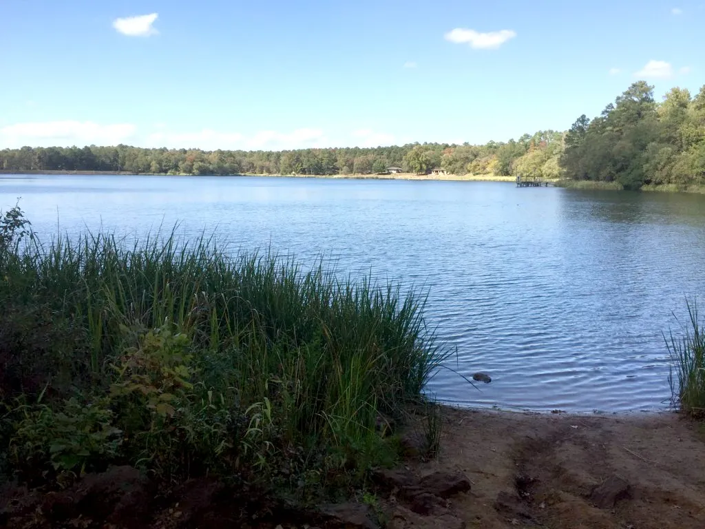 Tyler State Park
