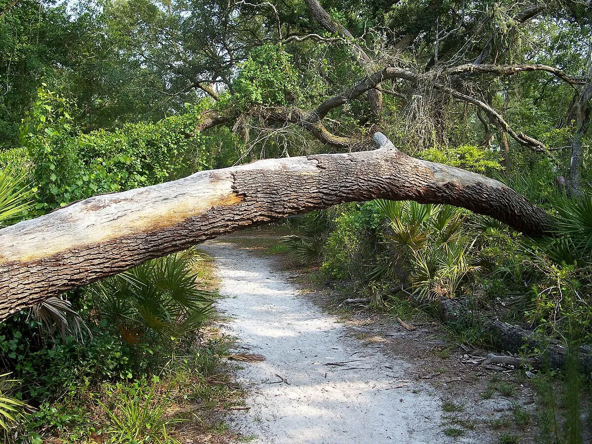 Silver Springs State Park Campground