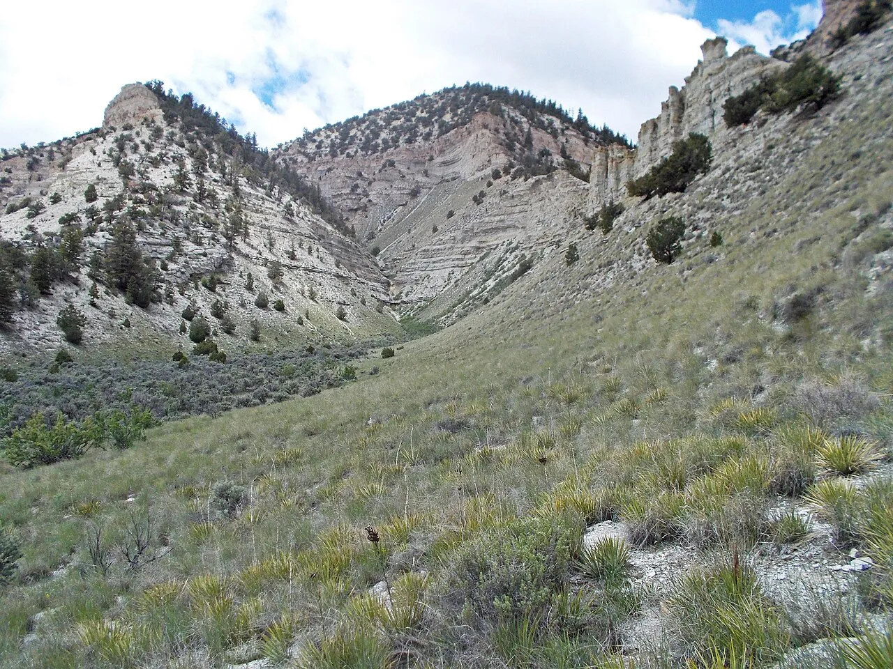 Skull Creek