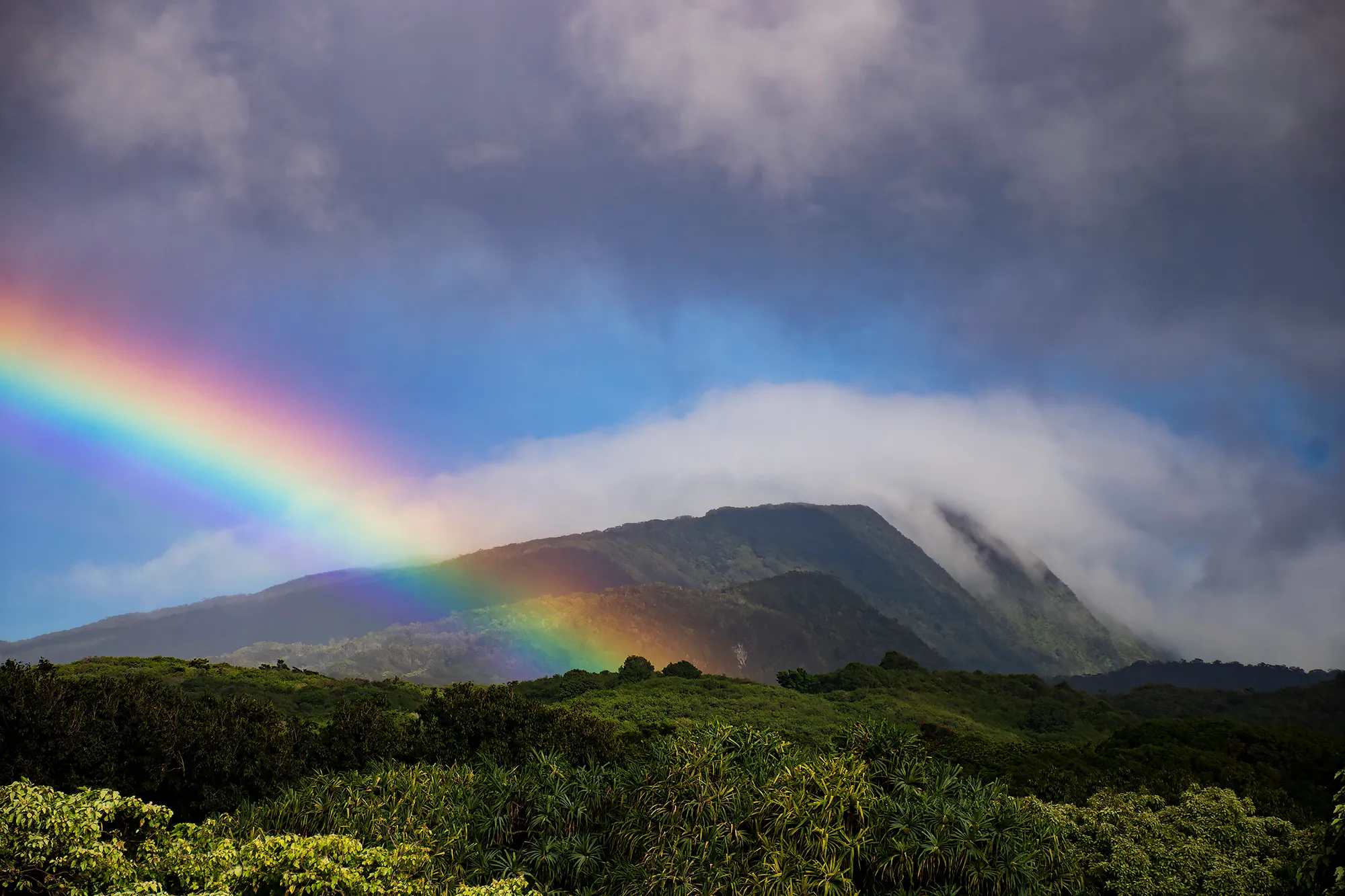 Kipahulu Campground