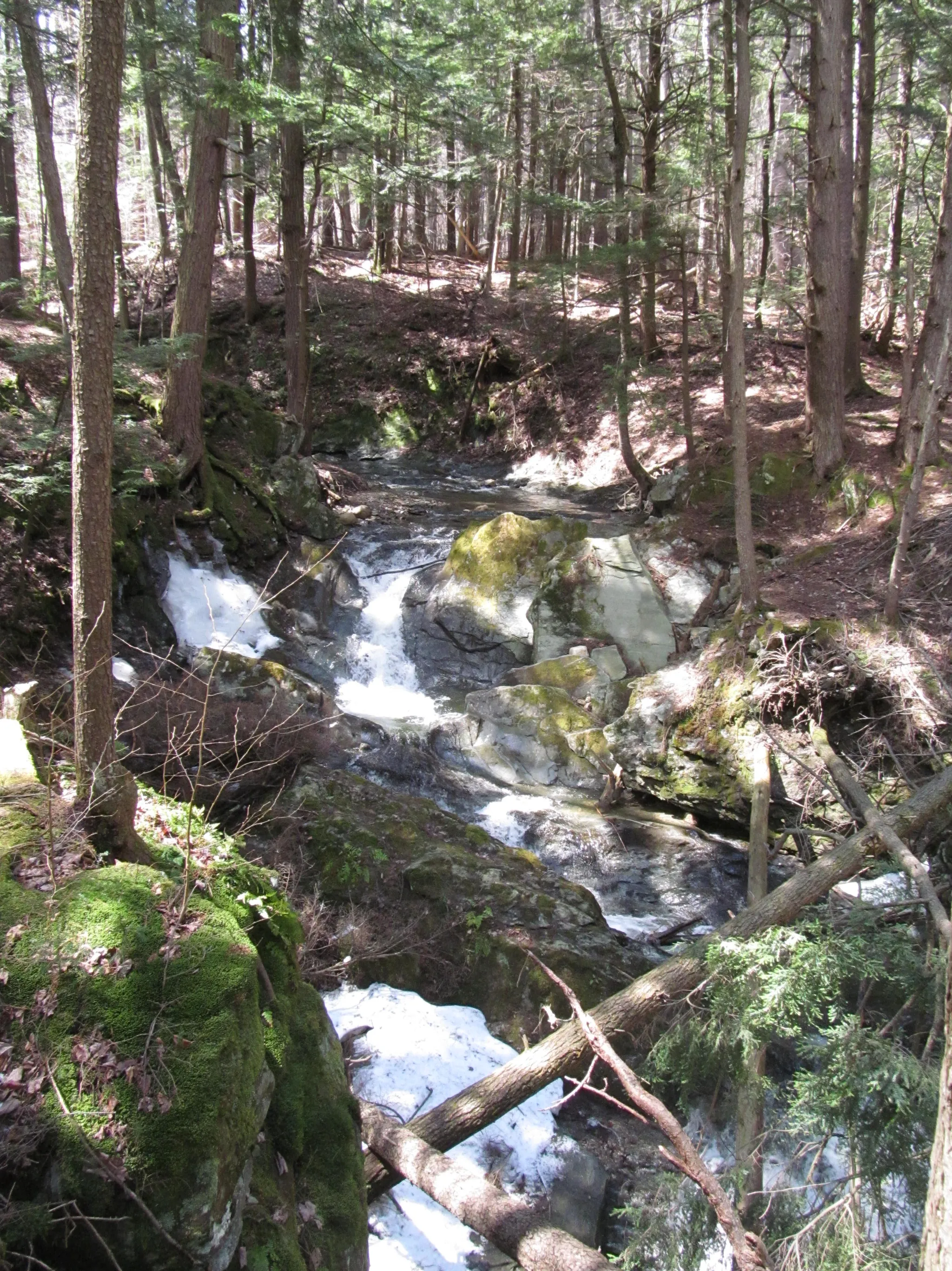 Savoy Mountain State Forest
