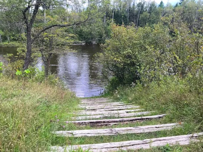 Parmalee Bridge State Forest Campground And Canoe Camp