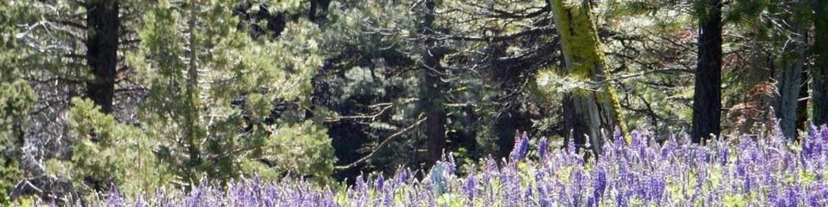 Ash Creek Campground