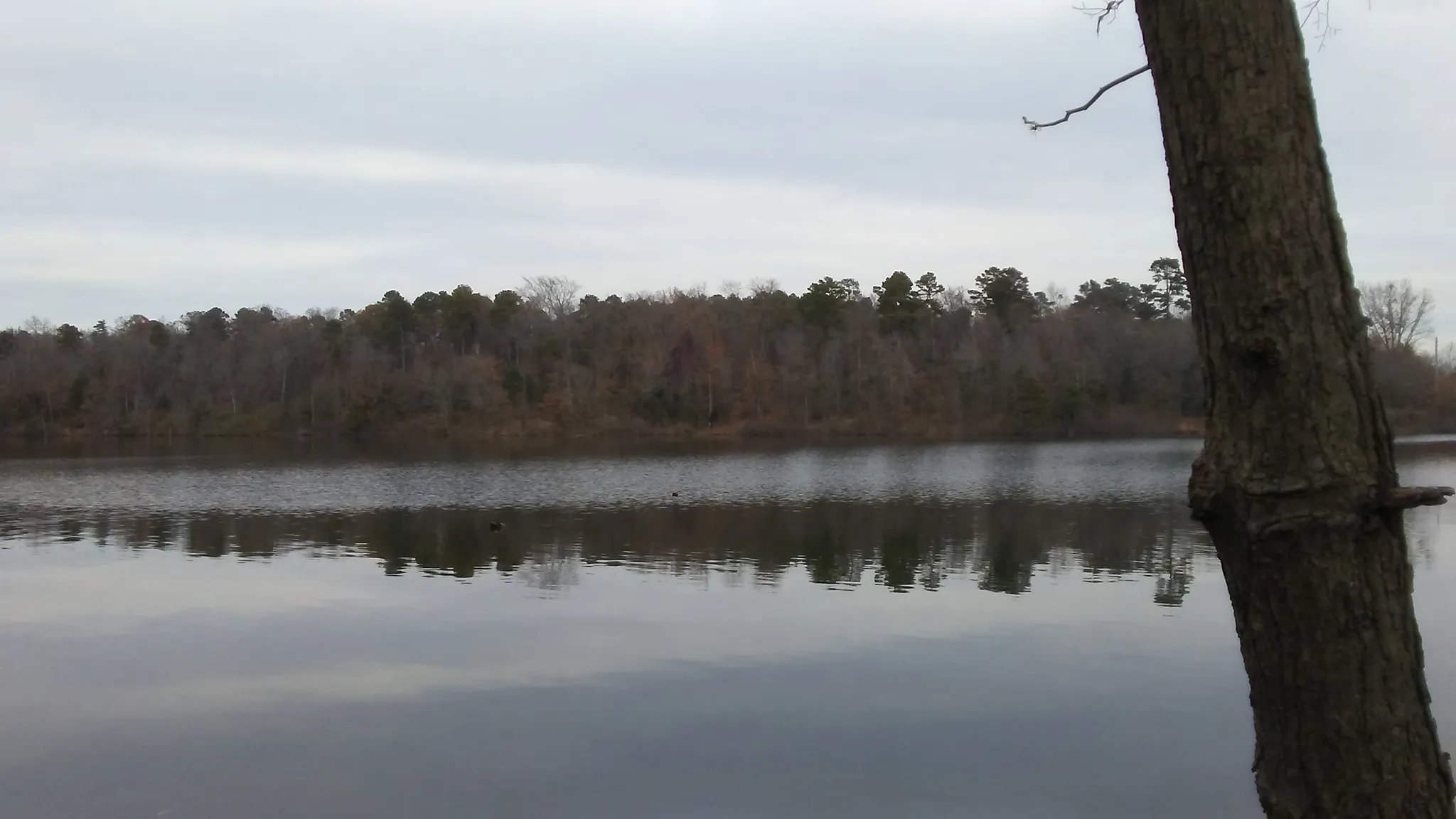 Lake Bob Sandlin State Park