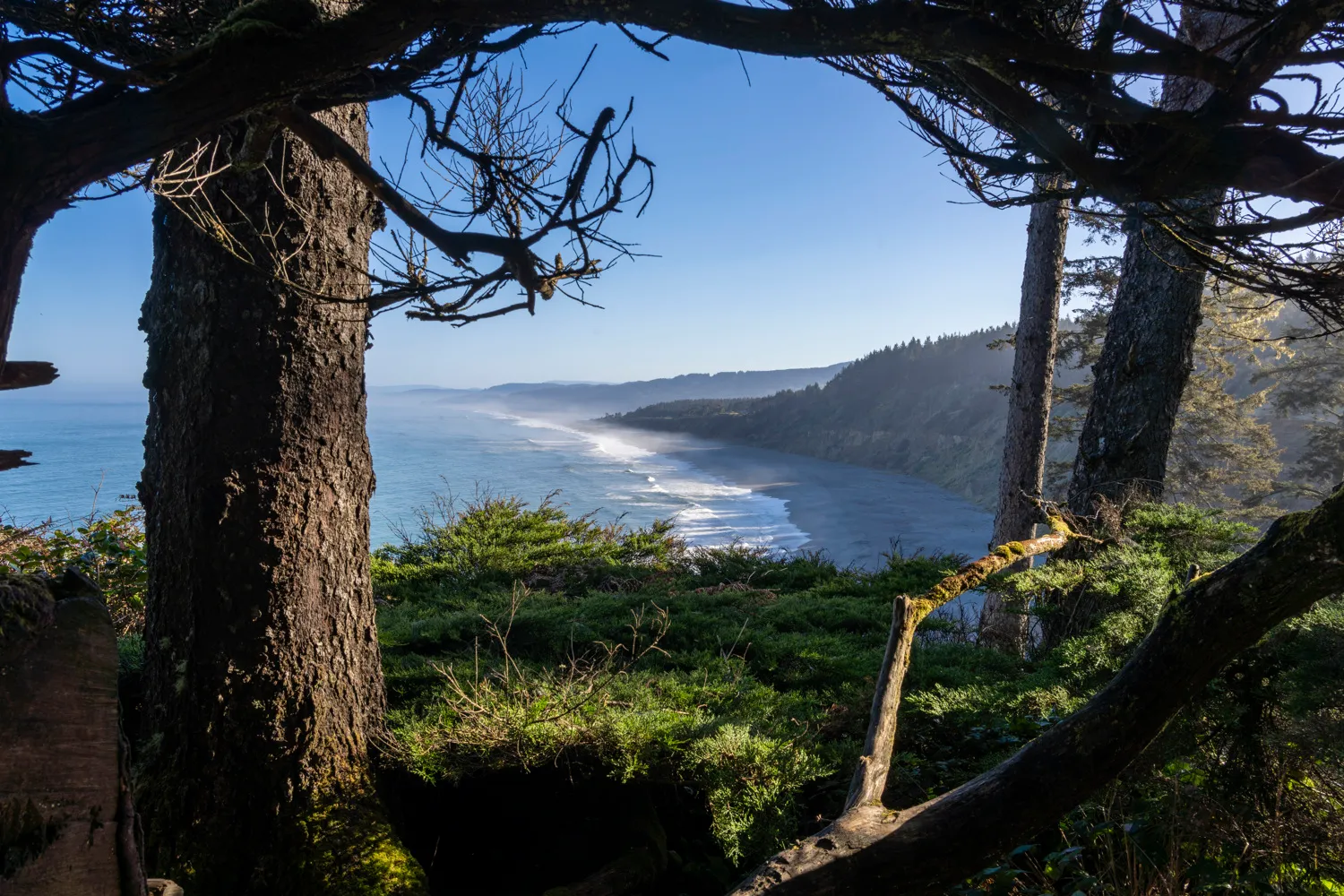 Abalone Campground