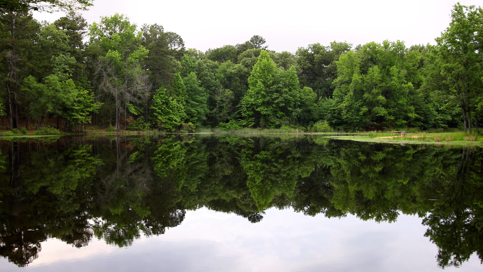 Lake Bob Sandlin State Park