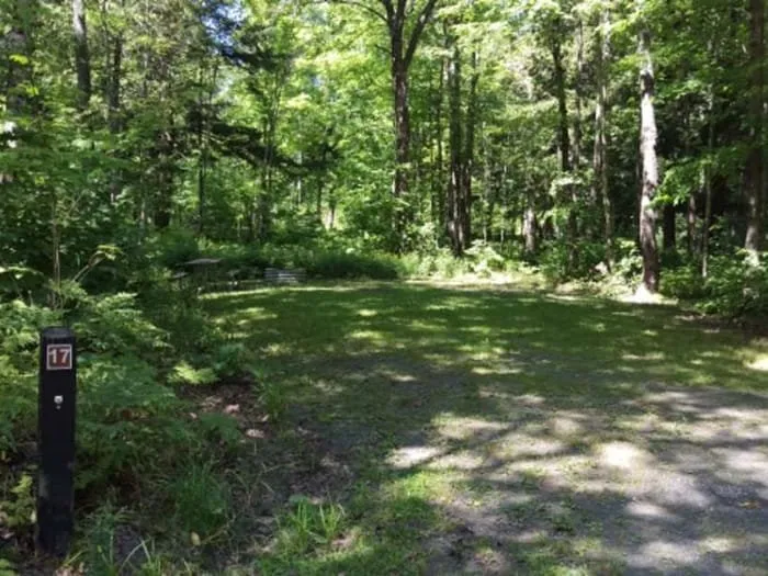 Big Eric's Bridge State Forest Campground
