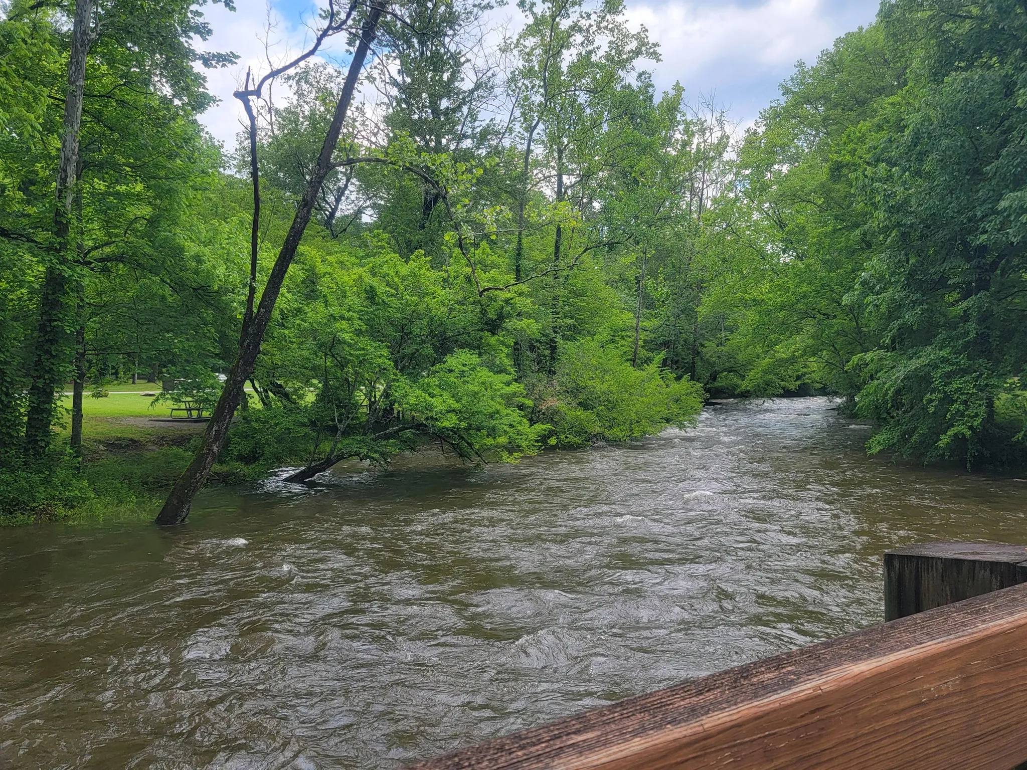 Deep Creek Group Camp