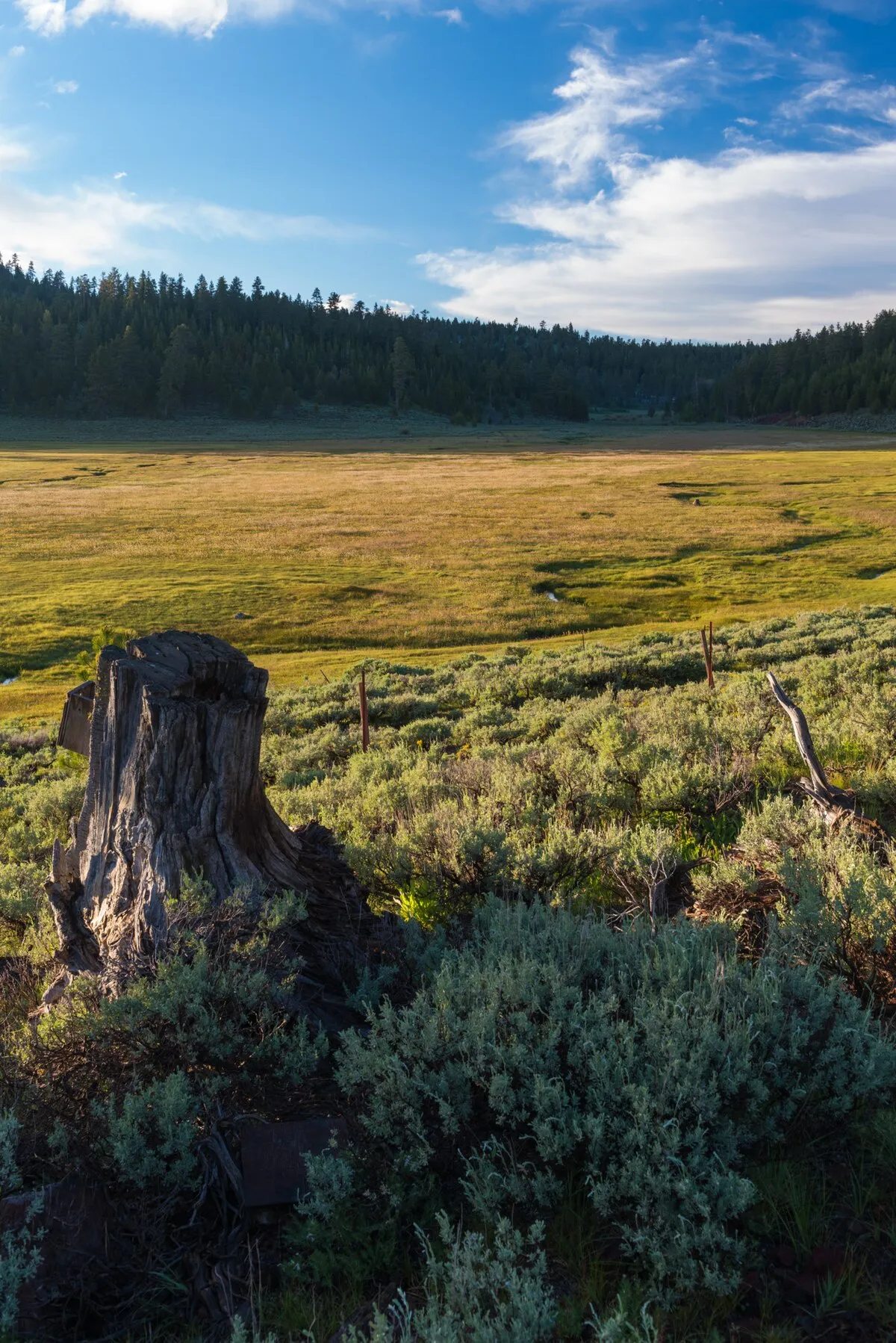 Mud Creek Campground