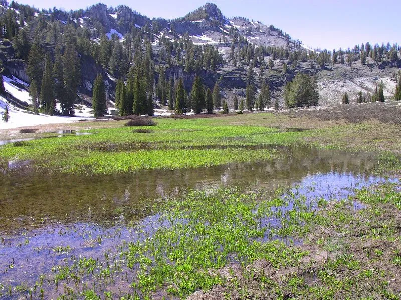 Spirit Lake Campground