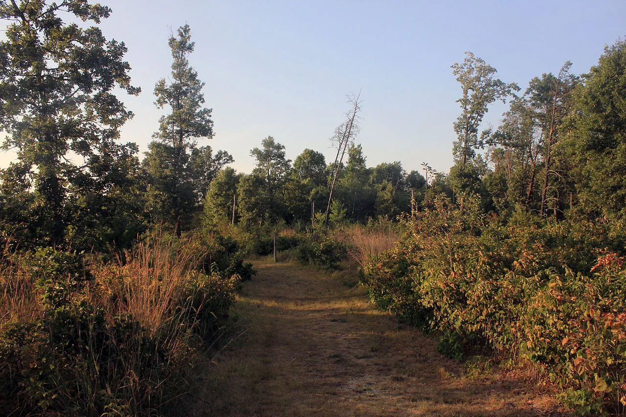 Buckhorn State Park