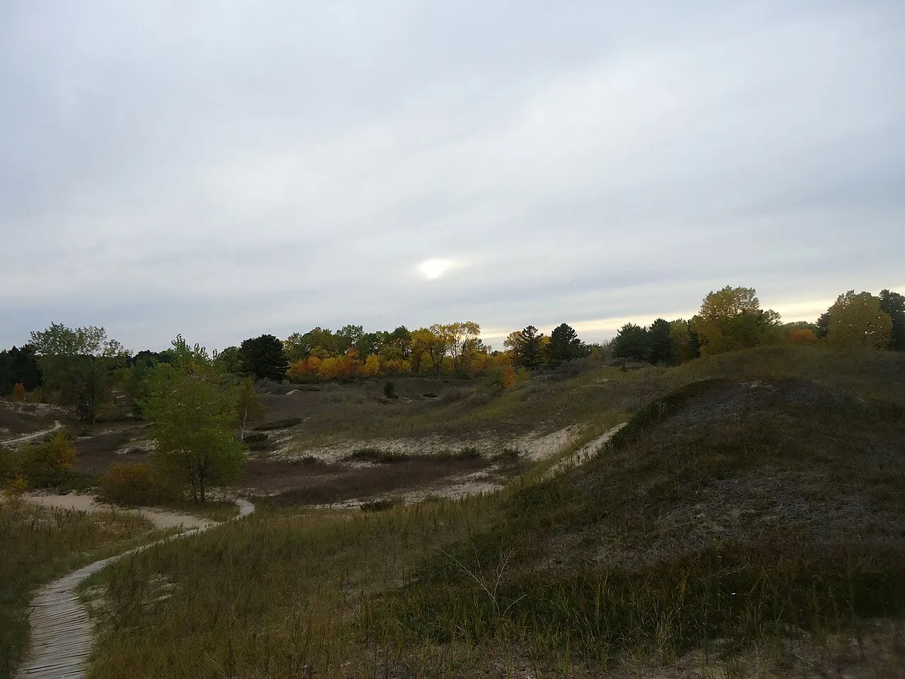 Kohler-Andrae State Park