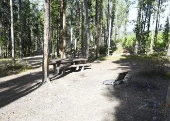 Lodgepole Campground