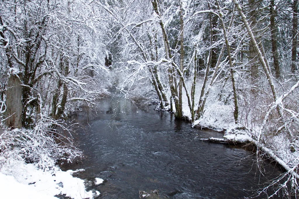 Silver Falls State Park