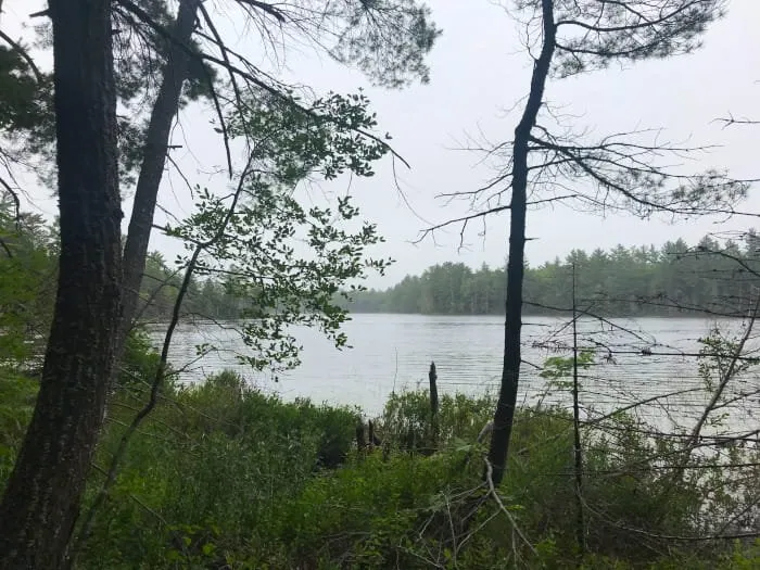 South Gemini Lake State Forest Campground