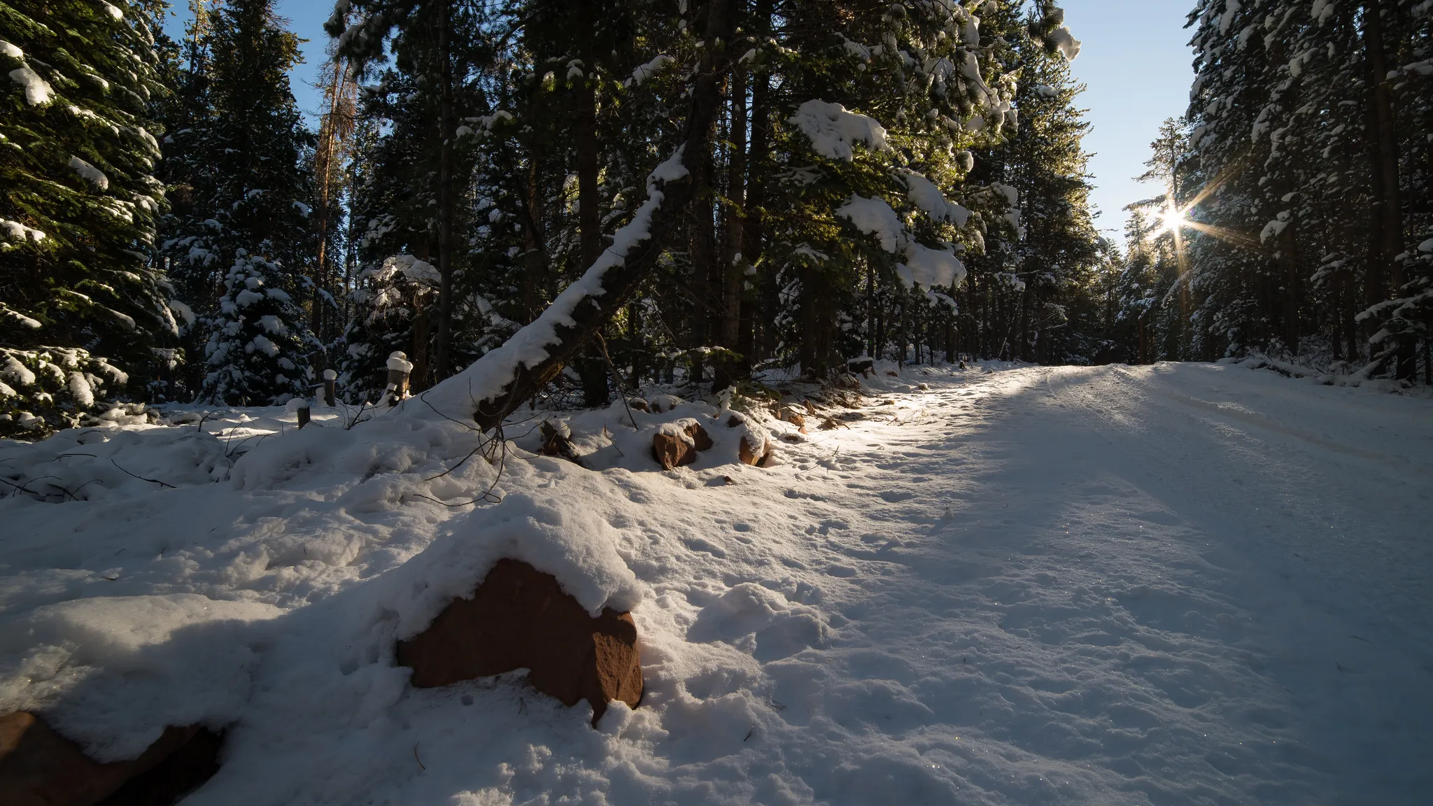 Sylvan Lake Campground