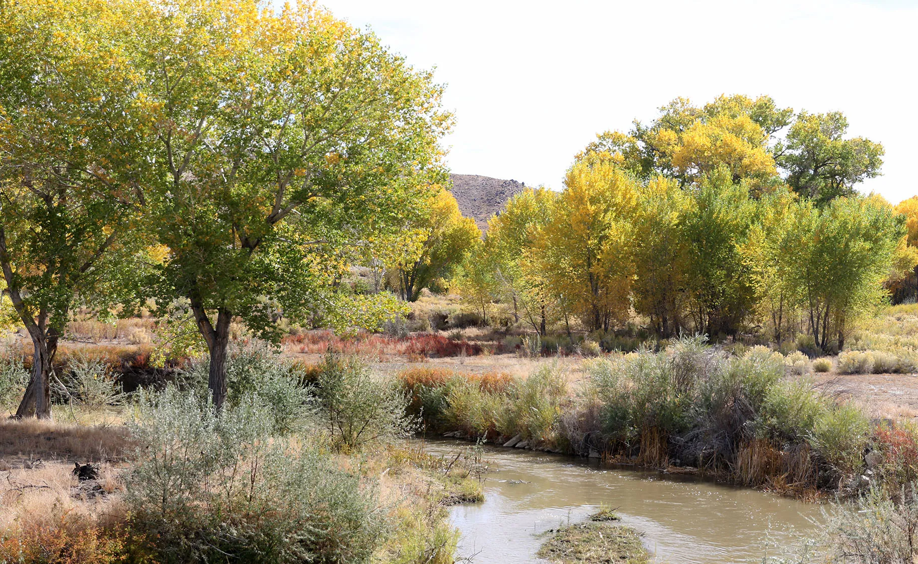 Walker River Campground