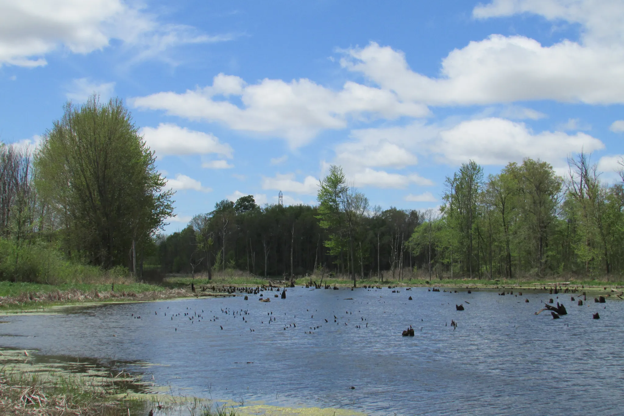 Potato Creek State Park