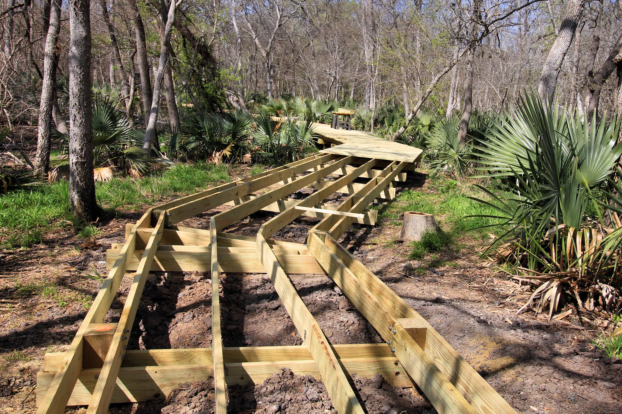 Palmetto State Park