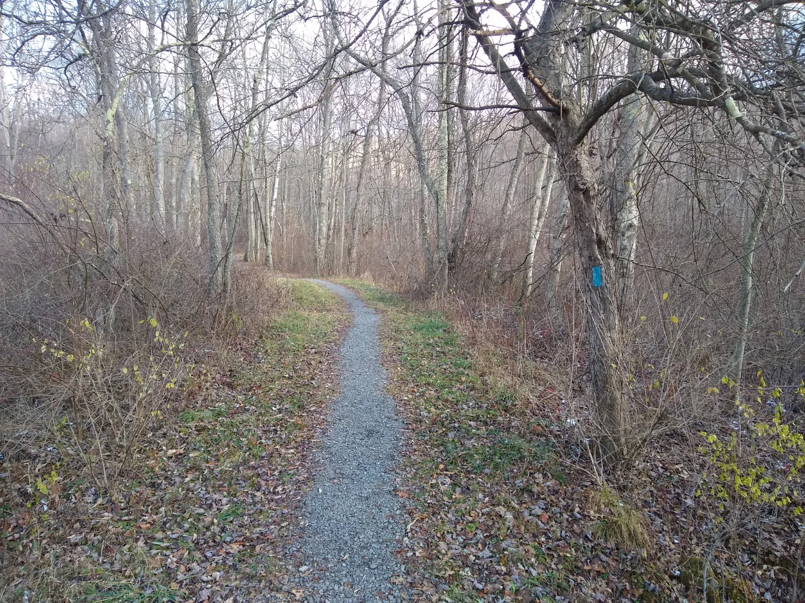 Moraine State Park
