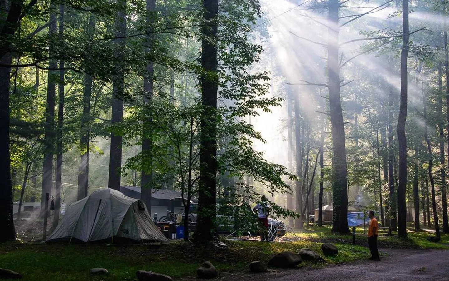 Elkmont Campground