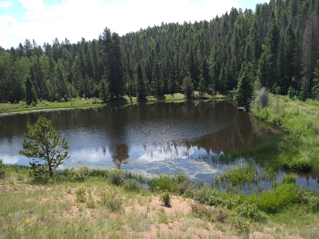 Mueller State Park