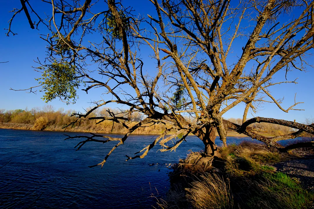 Irvine Finch Access Campground