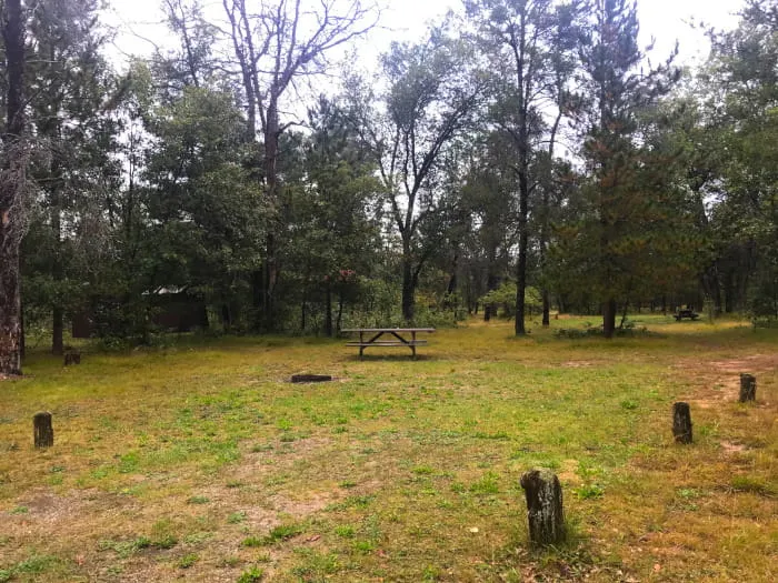 Manistee River Bridge State Forest Campground