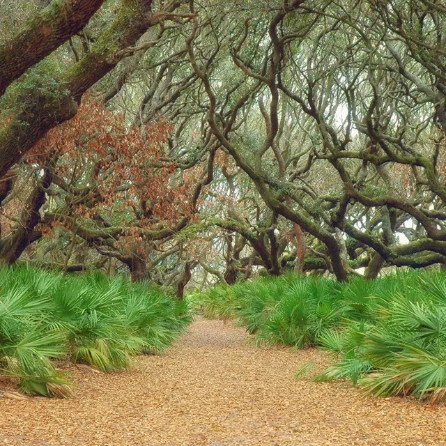 Cumberland Island National Seashore Camping Permits
