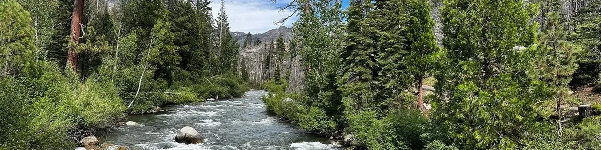 Black Springs Ohv Campground